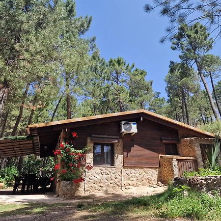 Cabana En Plena Naturaleza Parque Natural Rio Mundo Риопар Экстерьер фото