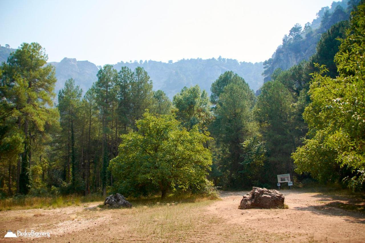 Cabana En Plena Naturaleza Parque Natural Rio Mundo Риопар Экстерьер фото