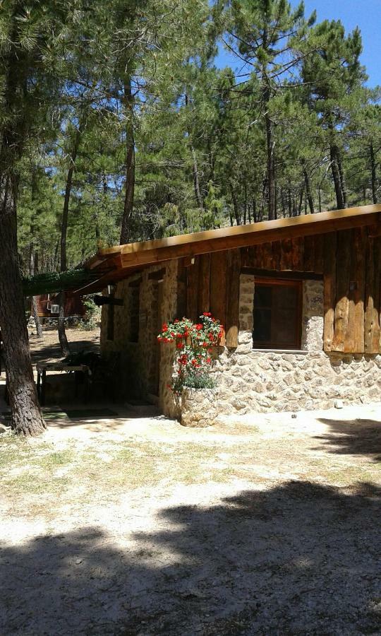 Cabana En Plena Naturaleza Parque Natural Rio Mundo Риопар Экстерьер фото