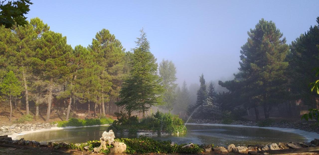Cabana En Plena Naturaleza Parque Natural Rio Mundo Риопар Экстерьер фото