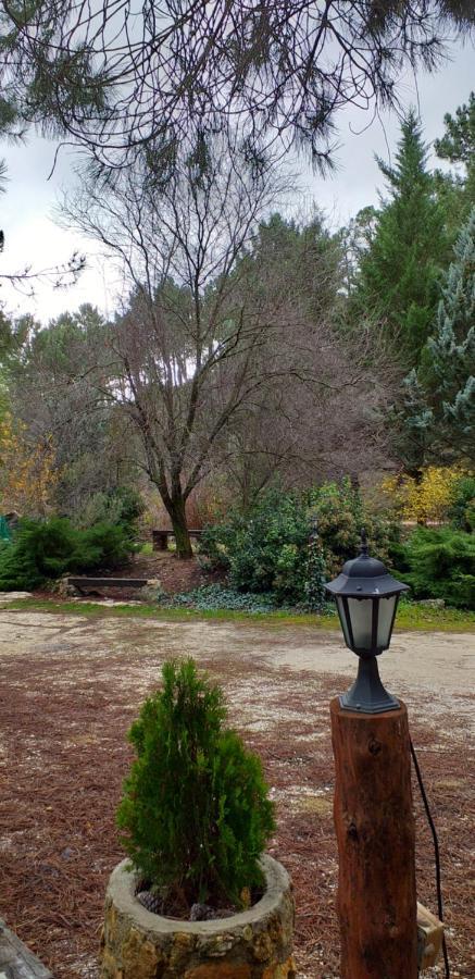 Cabana En Plena Naturaleza Parque Natural Rio Mundo Риопар Экстерьер фото